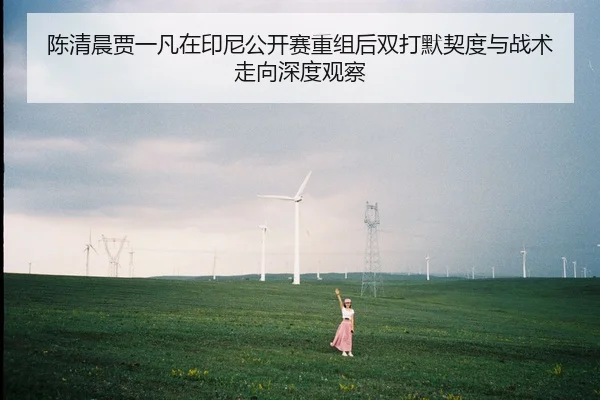 陈清晨贾一凡在印尼公开赛重组后双打默契度与战术走向深度观察