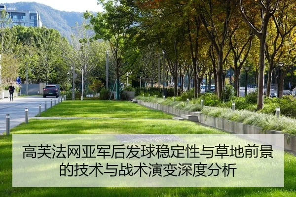 gao-fu-fa-wang-ya-jun-hou-fa-qiu-wen-ding-xing-yu-cao-di-qian-jing-de-ji-shu-yu-zhan-shu-yan-bian-shen-du-fen-xi-2-555.jpg