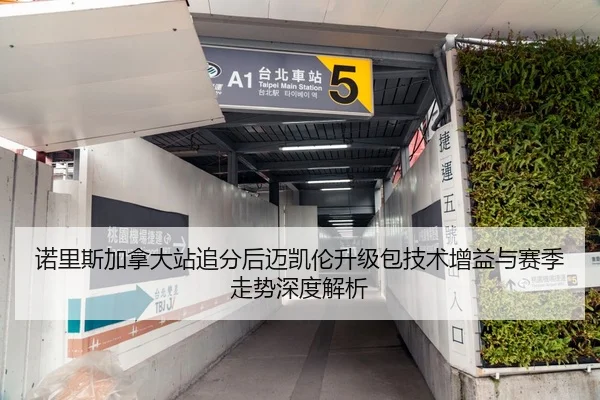 诺里斯加拿大站追分后迈凯伦升级包技术增益与赛季走势深度解析