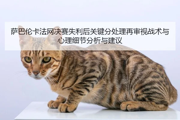 sa-ba-lun-ka-fa-wang-jue-sai-shi-li-hou-guan-jian-fen-chu-li-zai-shen-shi-zhan-shu-yu-xin-li-xi-jie-fen-xi-yu-jian-yi-2-827.jpg